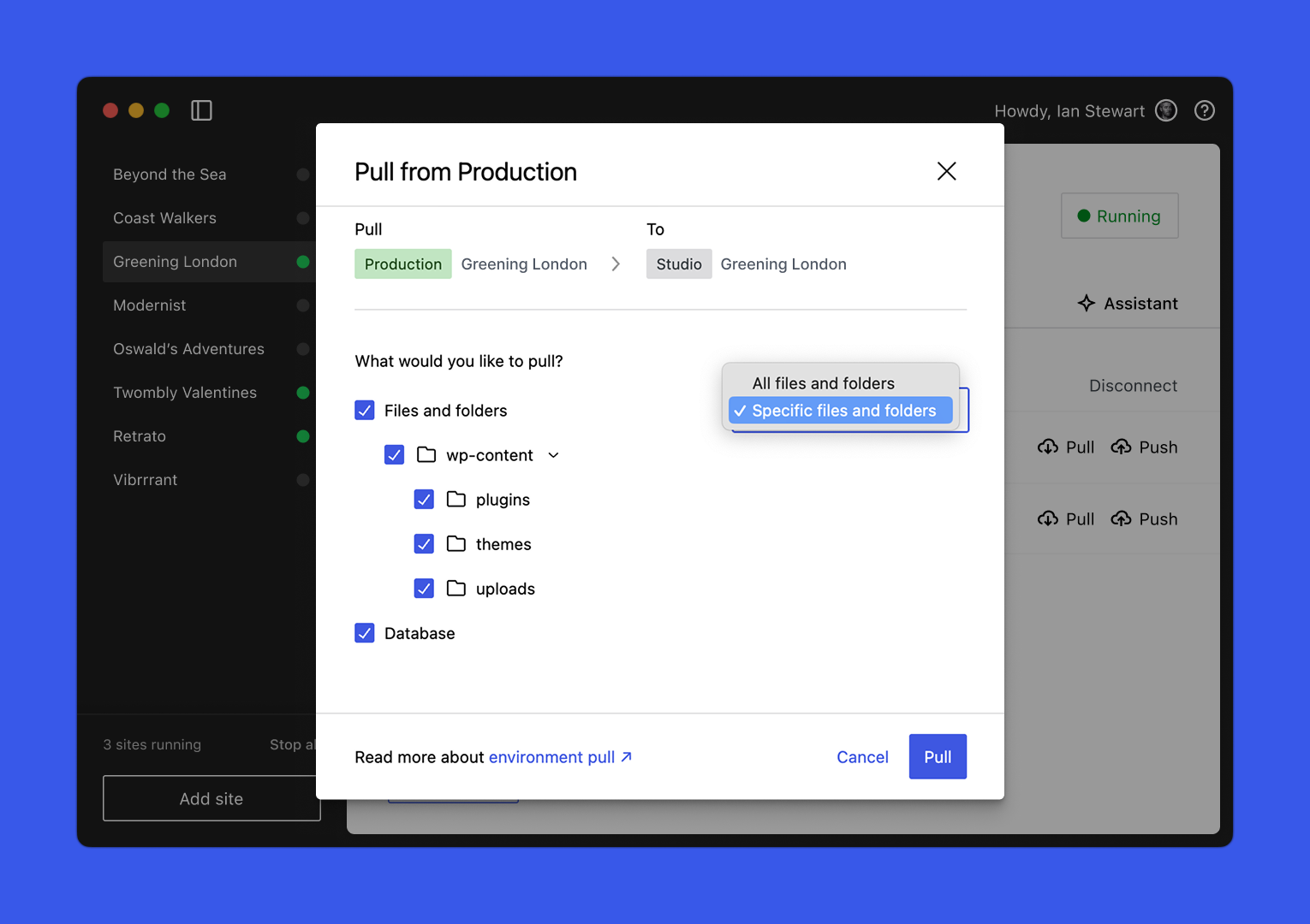WordPress Studio - Selective Sync