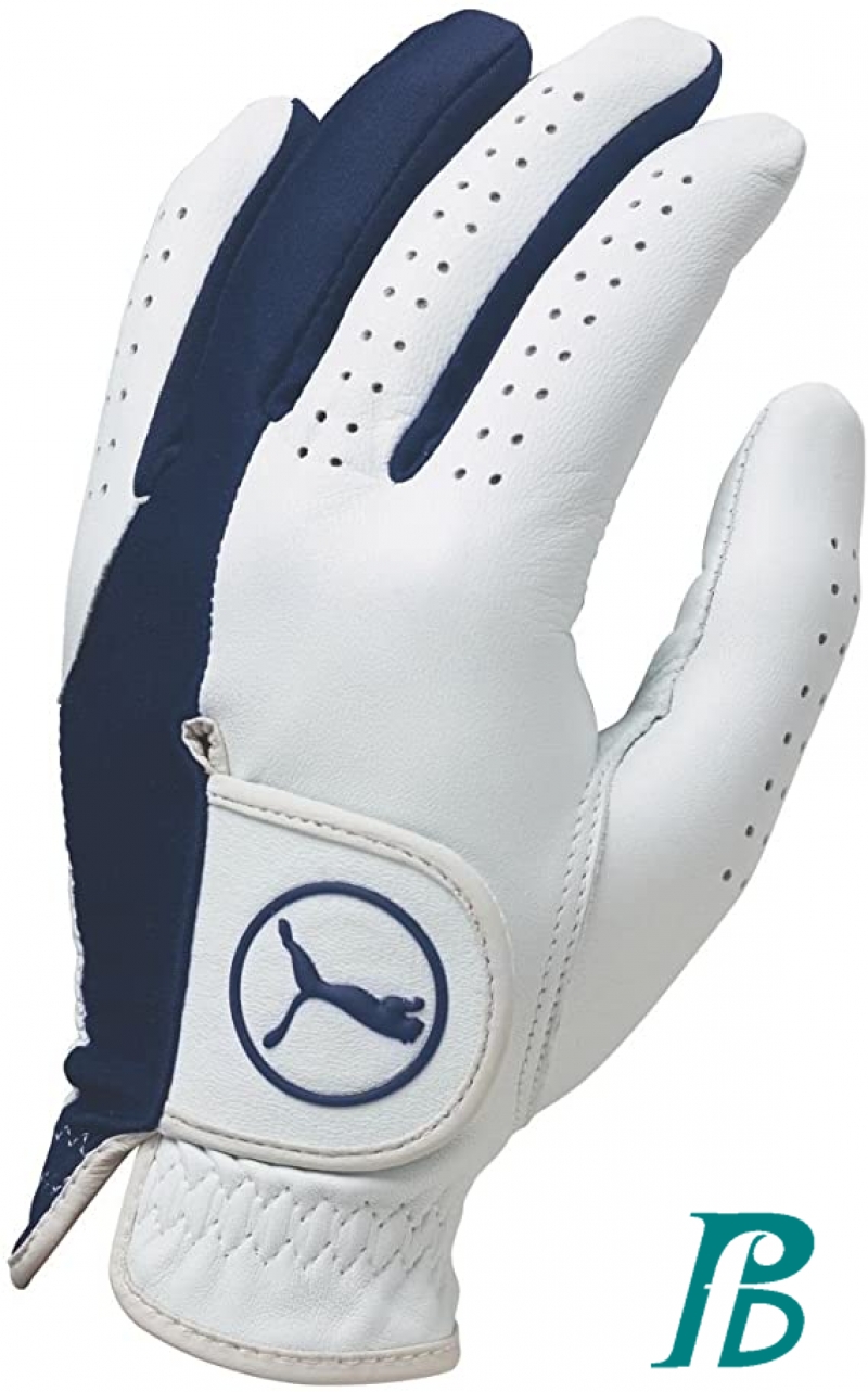 Puma Golf Formation Gloves