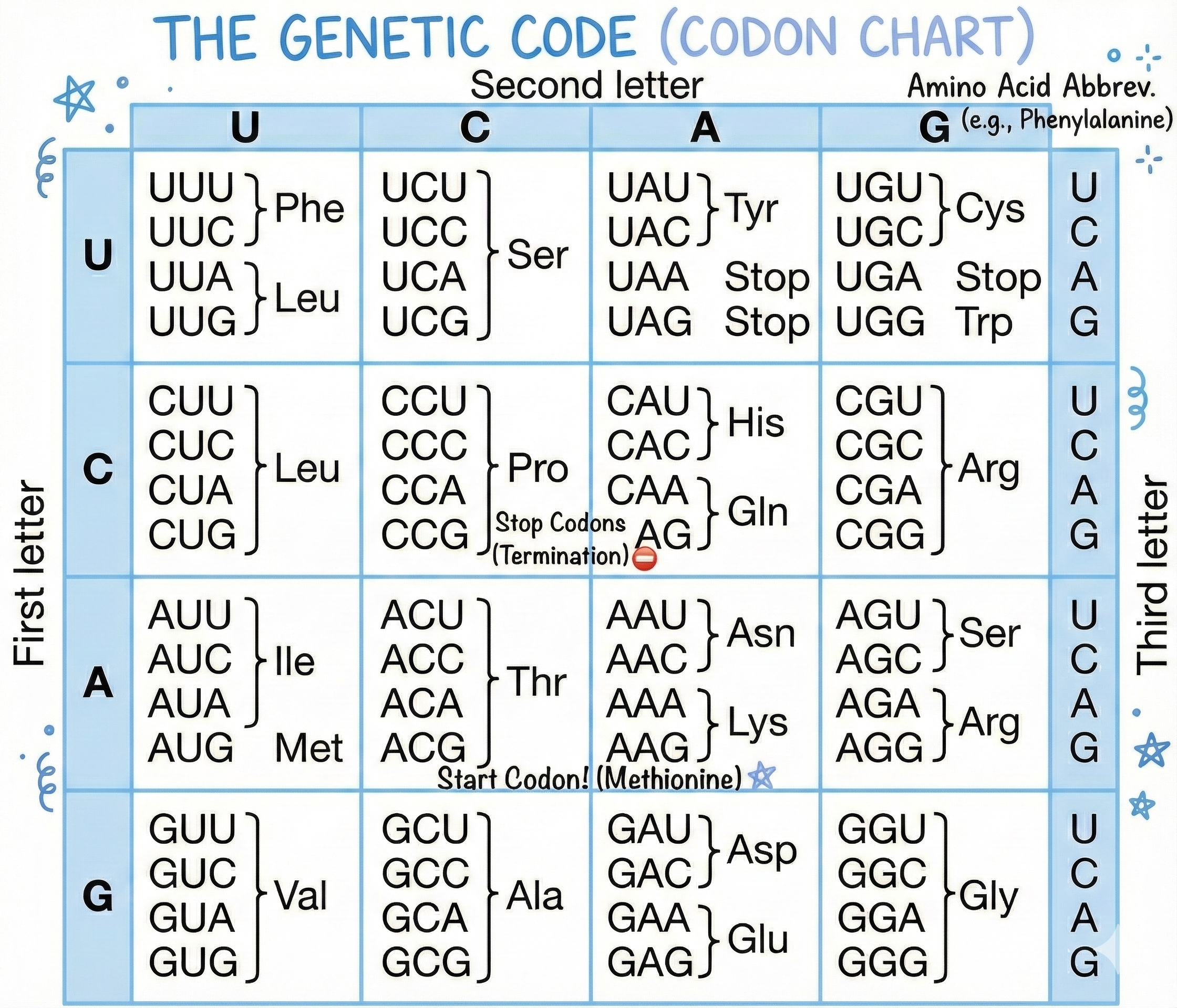 Image of genetic codes