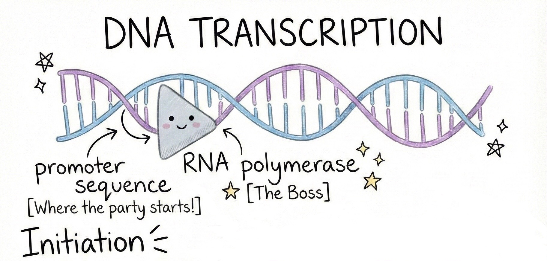 Image of step1