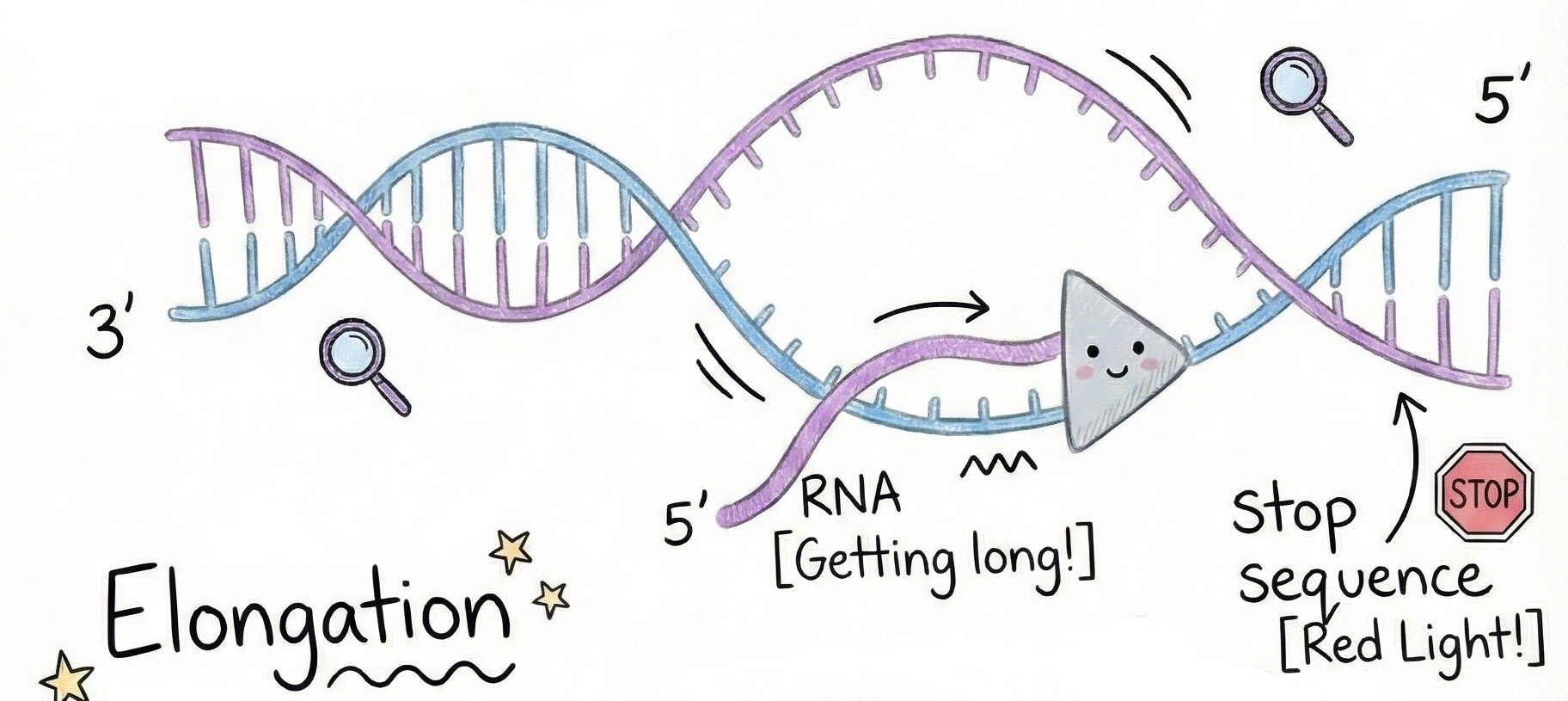 Image of step2