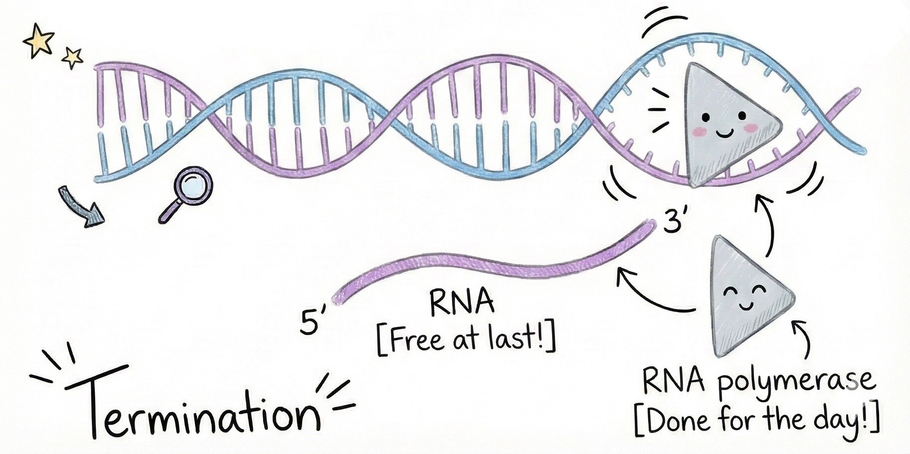 Image of step3