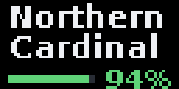 BirdNET — Matrix 64 × 32