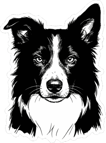 sheepdog, the border collie that herds your coding agent