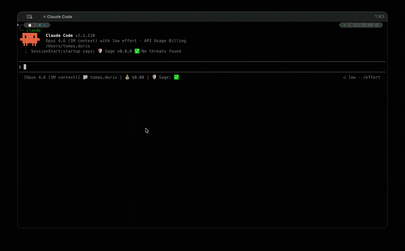 Sage blocking a dangerous command in Claude Code
