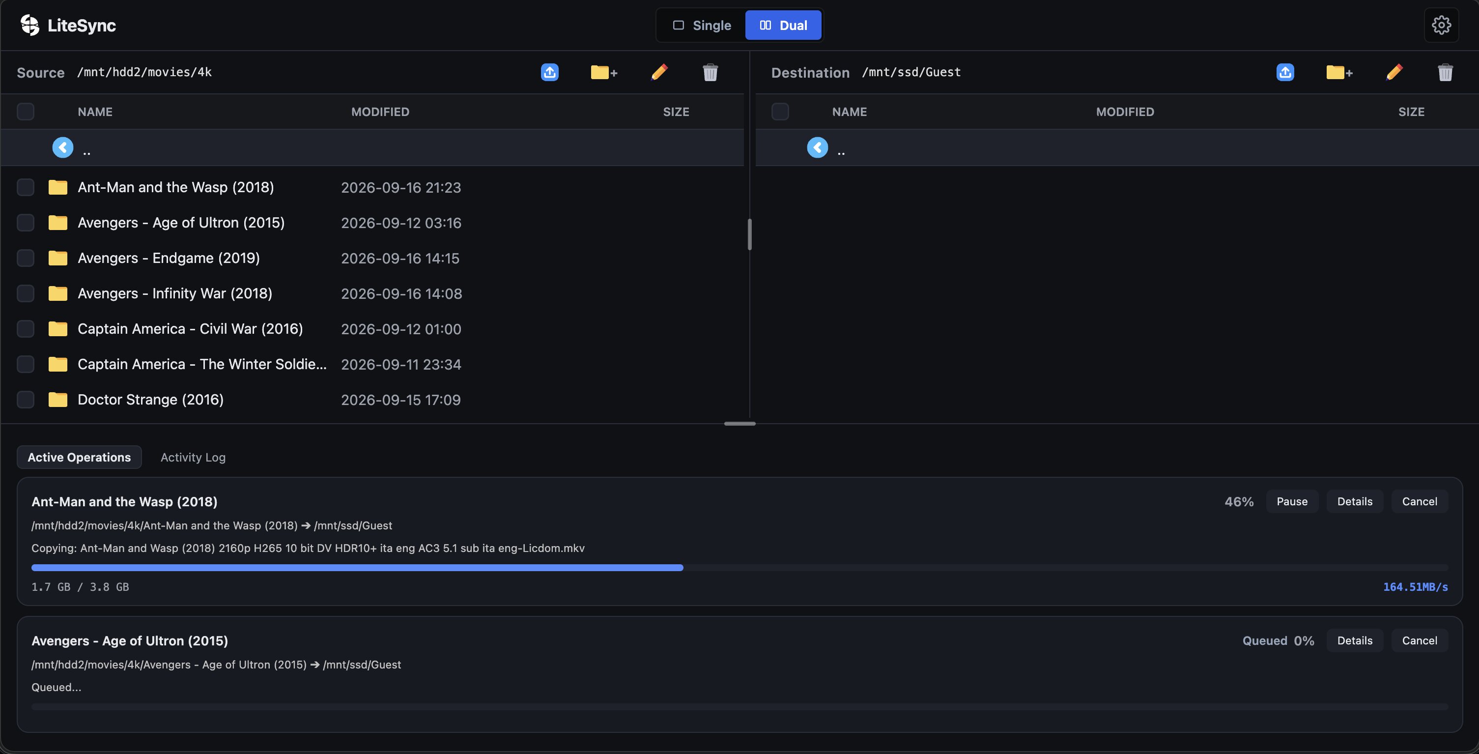 LiteSync Interface