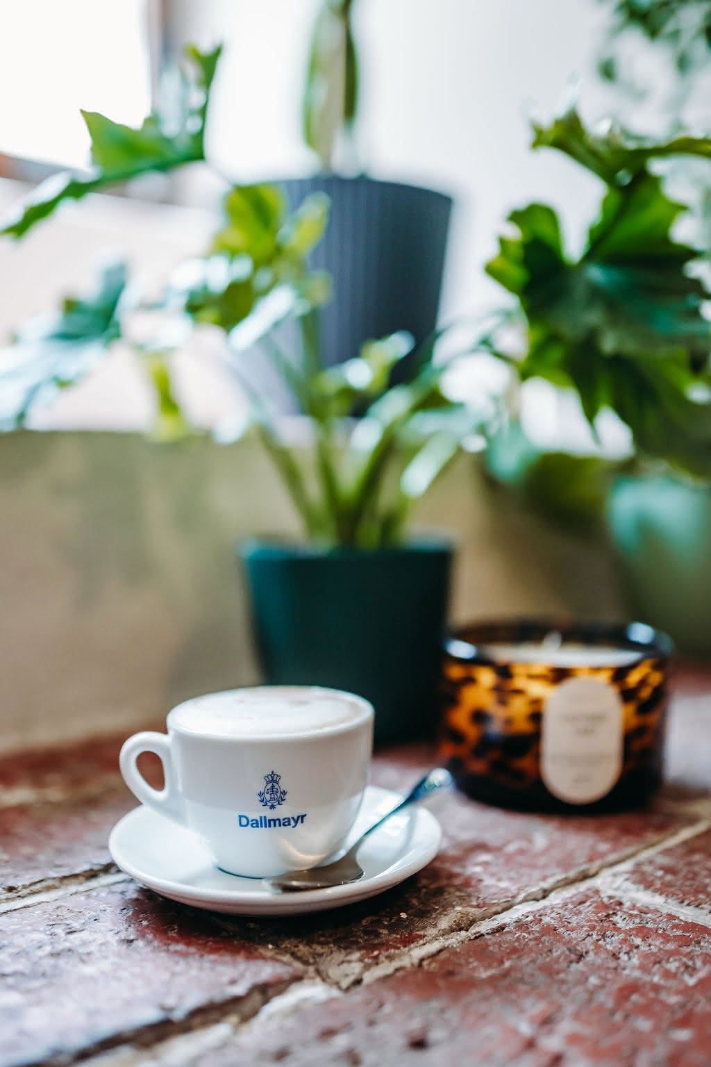 Dallmayr cappuccino s rostlinami