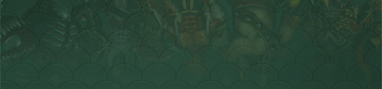 Part4-Race_PL_02_2.png