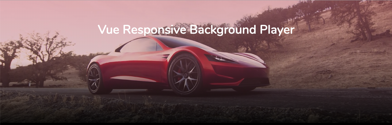 vue-responsive-video-background-player