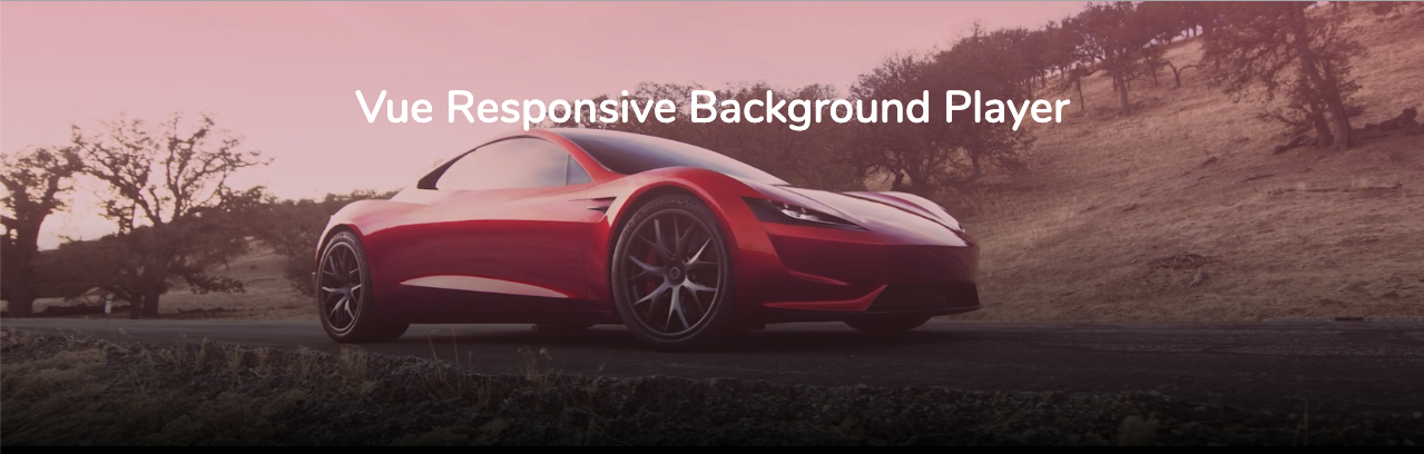 Responsive Video Background Player for Vue 