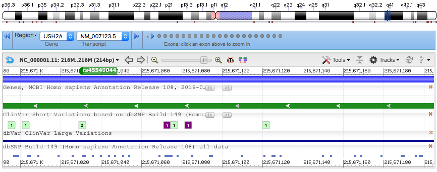 https://raw.githubusercontent.com/awatson1978/msbi-32400-final-project/master/screenshots/chromsome1-rs45549044.png