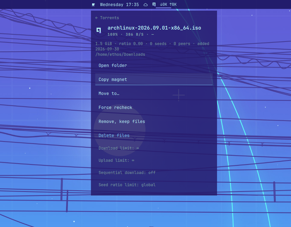 OmaqBT torrent detail and actions