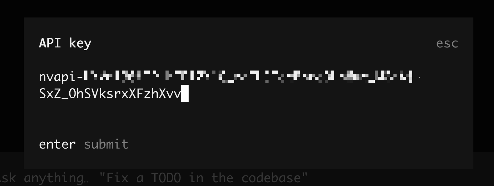 Picture of an obfuscated API key.
