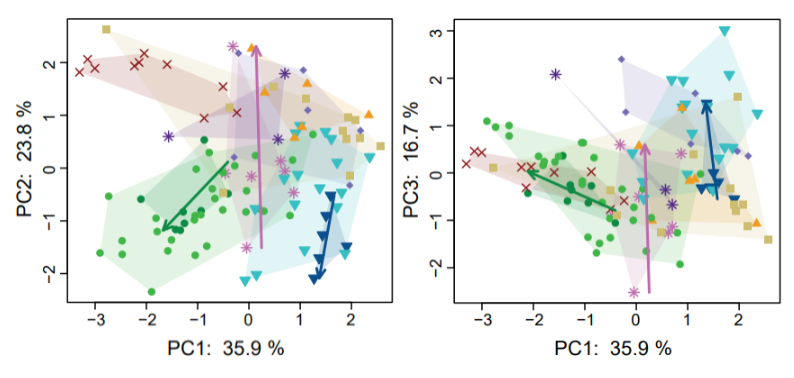 Anonymized Multi-Dimensional Morphogenetic Trajectories