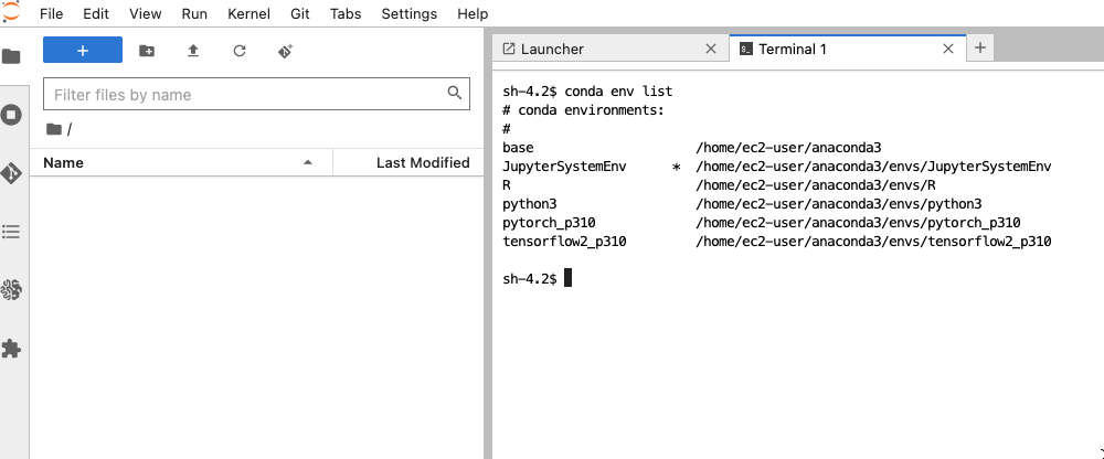 List conda envs