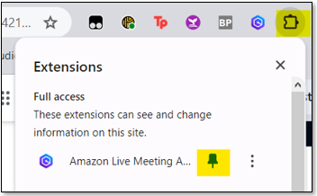 Pin the Chrome Extension