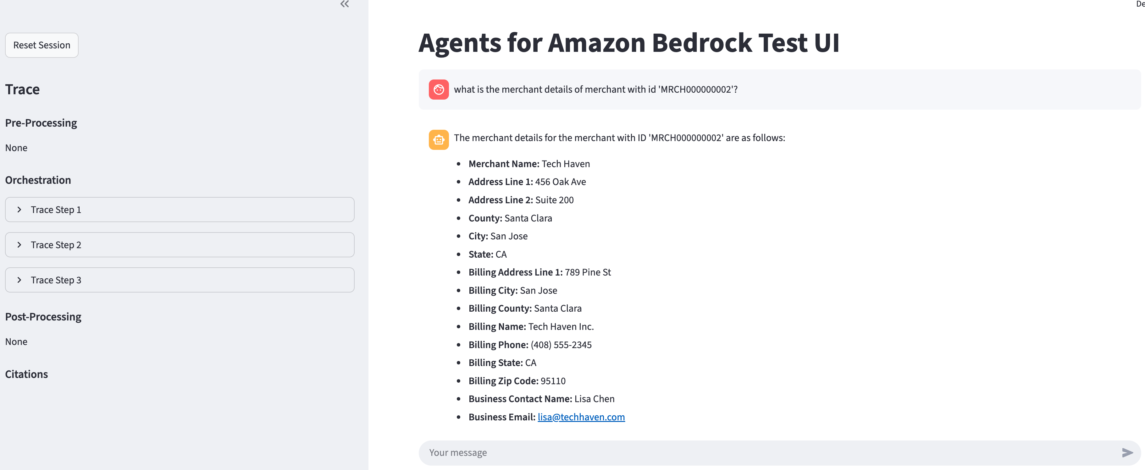 Merchant metadata