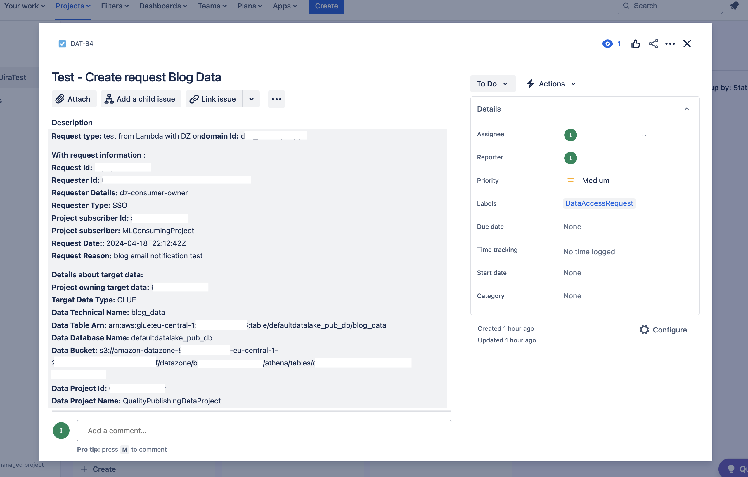 Figure 3: A sample Jira issue 