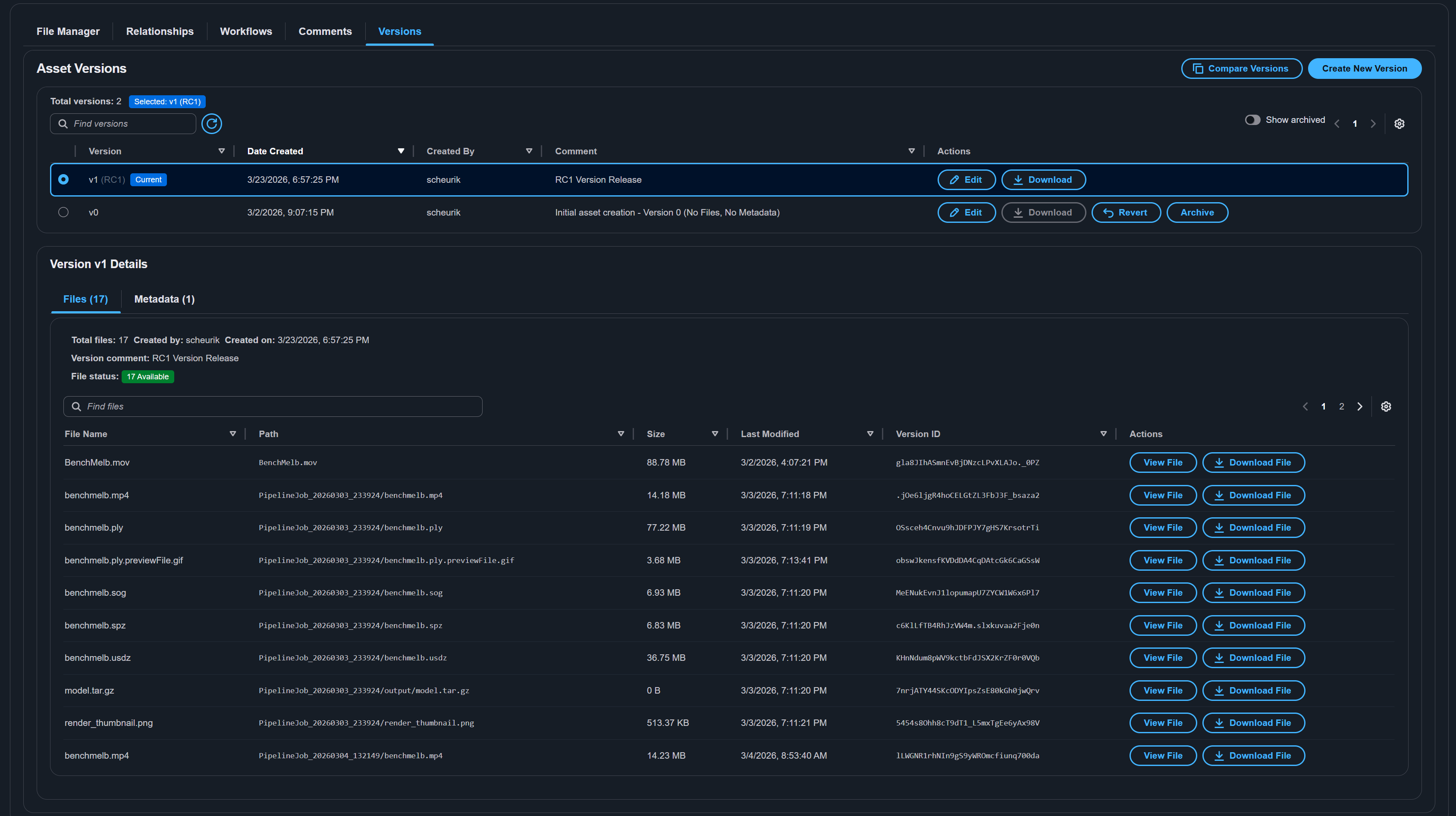 Asset versions tab