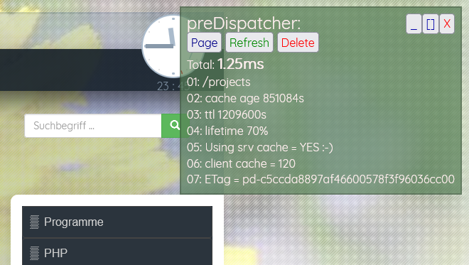 Screenshot: Cache infos