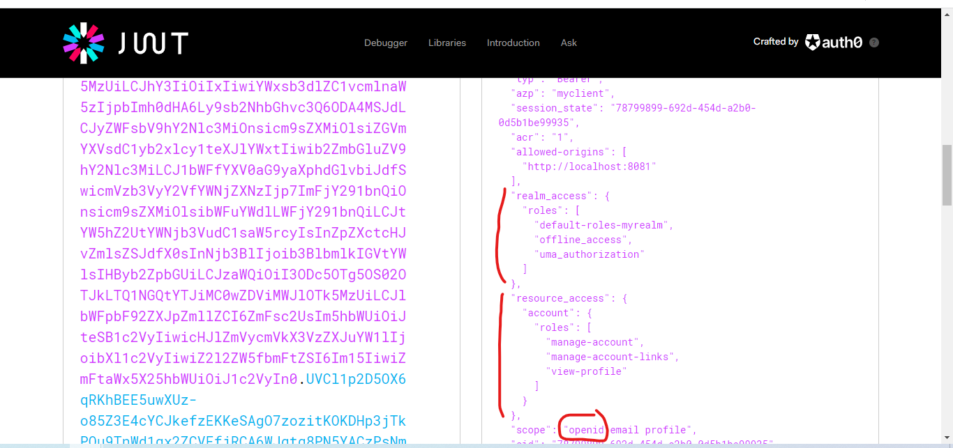 Shows the access token payload