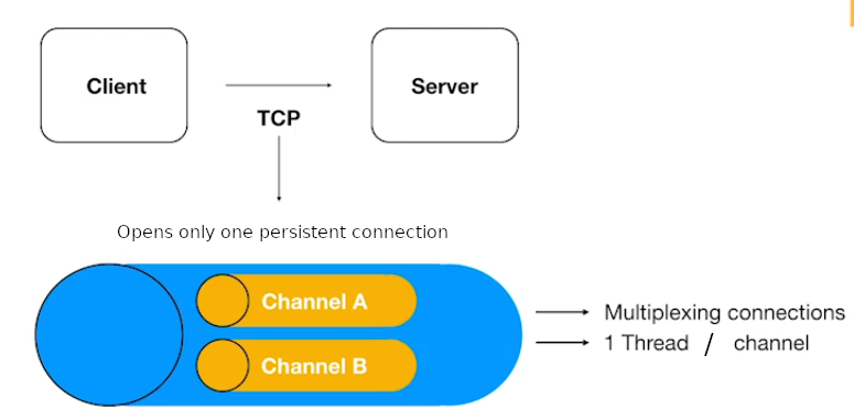 Only one persistent connection between client and server doing multiplexing