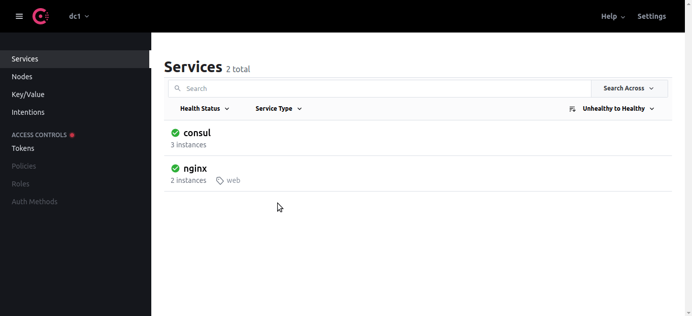 Showing Consul UI with all services and nodes