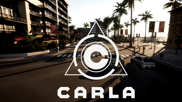 CARLA Video
