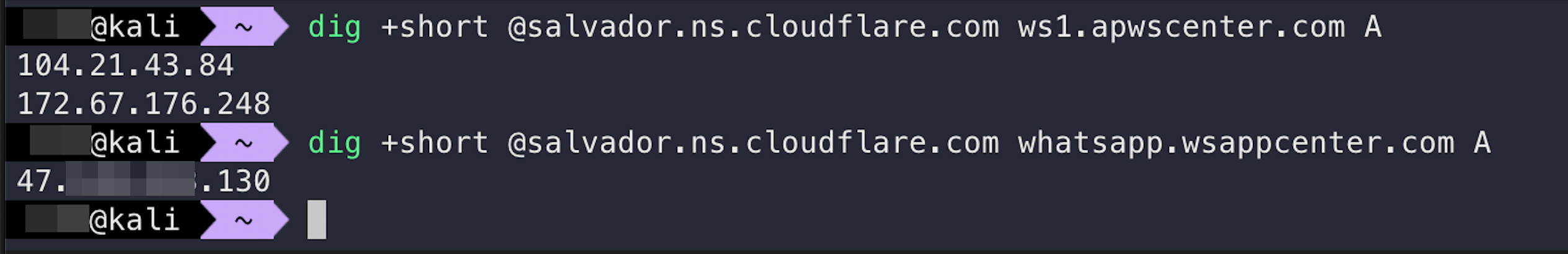Open directory listing