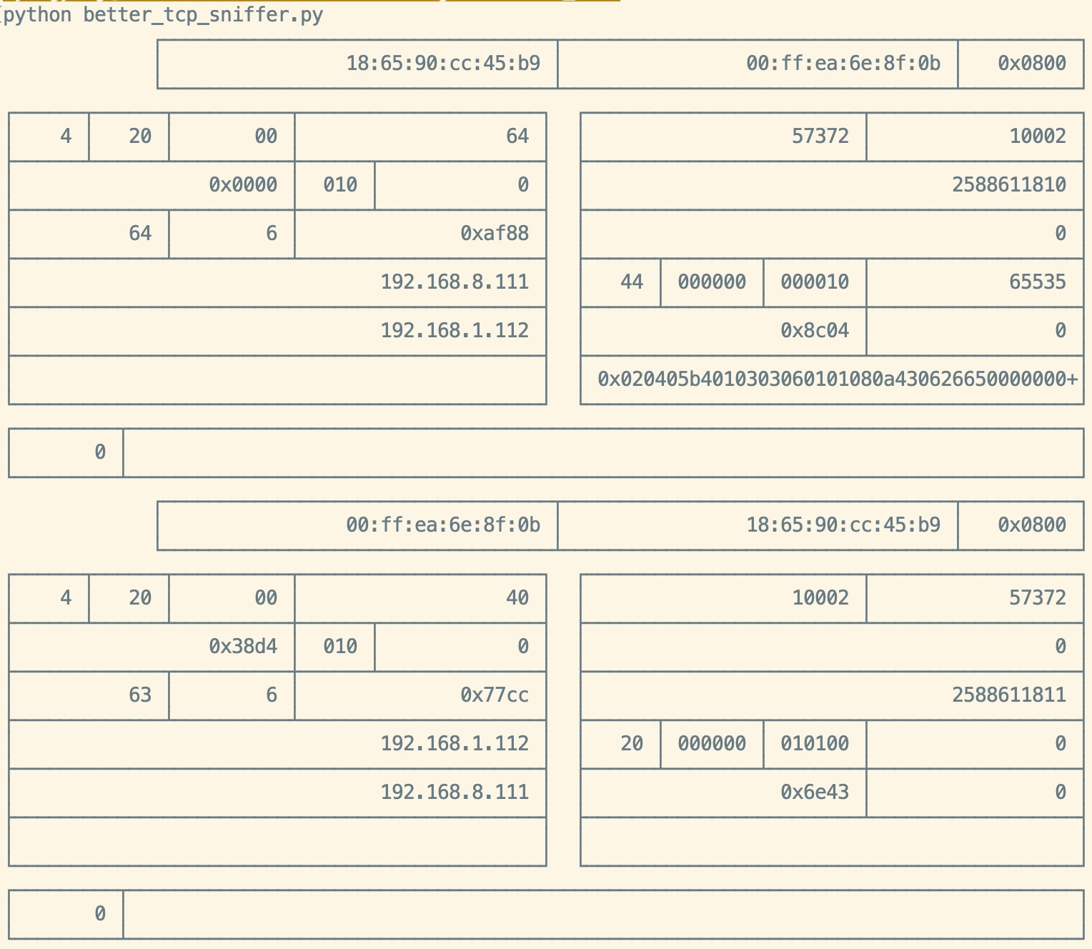 better_tcp_sniffer