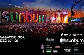 Sunburn Festival 2015