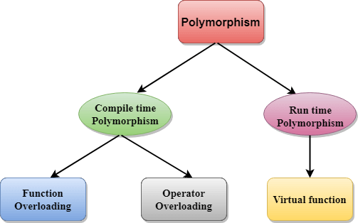 C++ Polymorphism - javatpoint