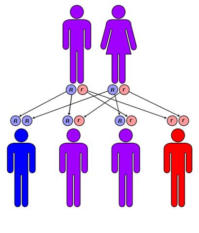 C++ Inheritance easily grows out of control – dbj( org );