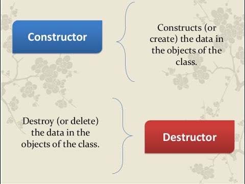 Constructor & Destructor : Object Oriented Programming - YouTube