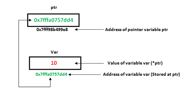 Pointers in C/C++ with Examples - GeeksforGeeks