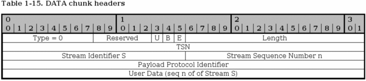 SCTP DATA chunk / Iptables Tutorial 1.2.2 / Библиотека (книги, учебники и  журналы) / В помощь Веб-Мастеру