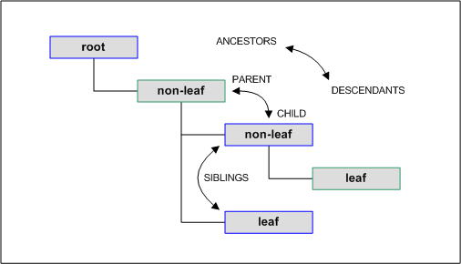 Parent, Child, and Sibling Nodes (Designing Custom Encoders)