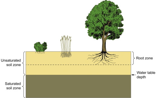 Surface soil moisture retrievals from remote sensing: Current status,  products & future trends - ScienceDirect