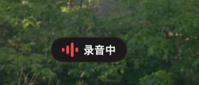 Recording Indicator