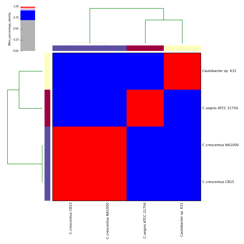 ANIm percentage identity for Caulobacter test data