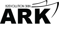 Ark Skin Logo