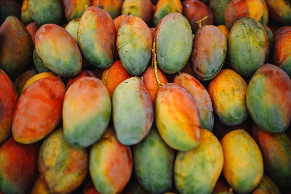 FAANG 시대 가고 MANGOS 뜬다 OpenAI와 스페이스X 투자 기회 선점하는 방법