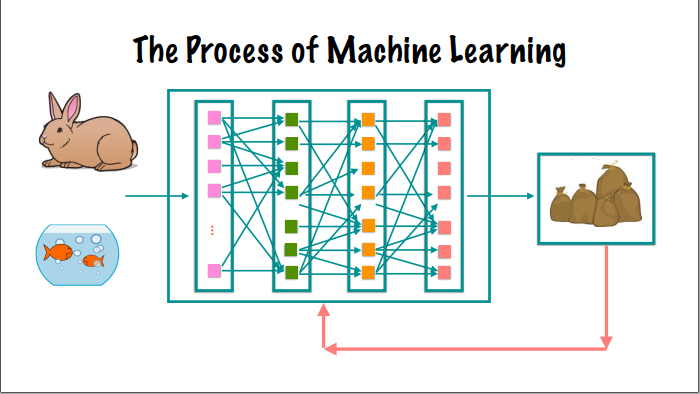 neuralNetworkFeedback