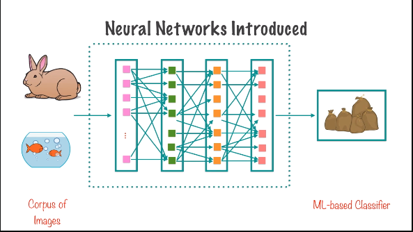 neurons