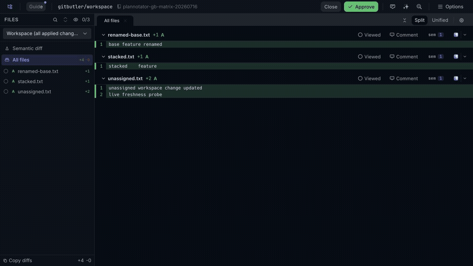 Pi runtime parity QA