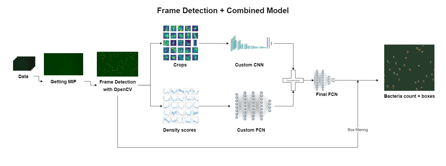 Frame Detection + Combined Model