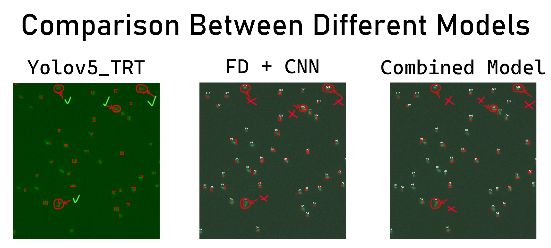 Detection Comparison