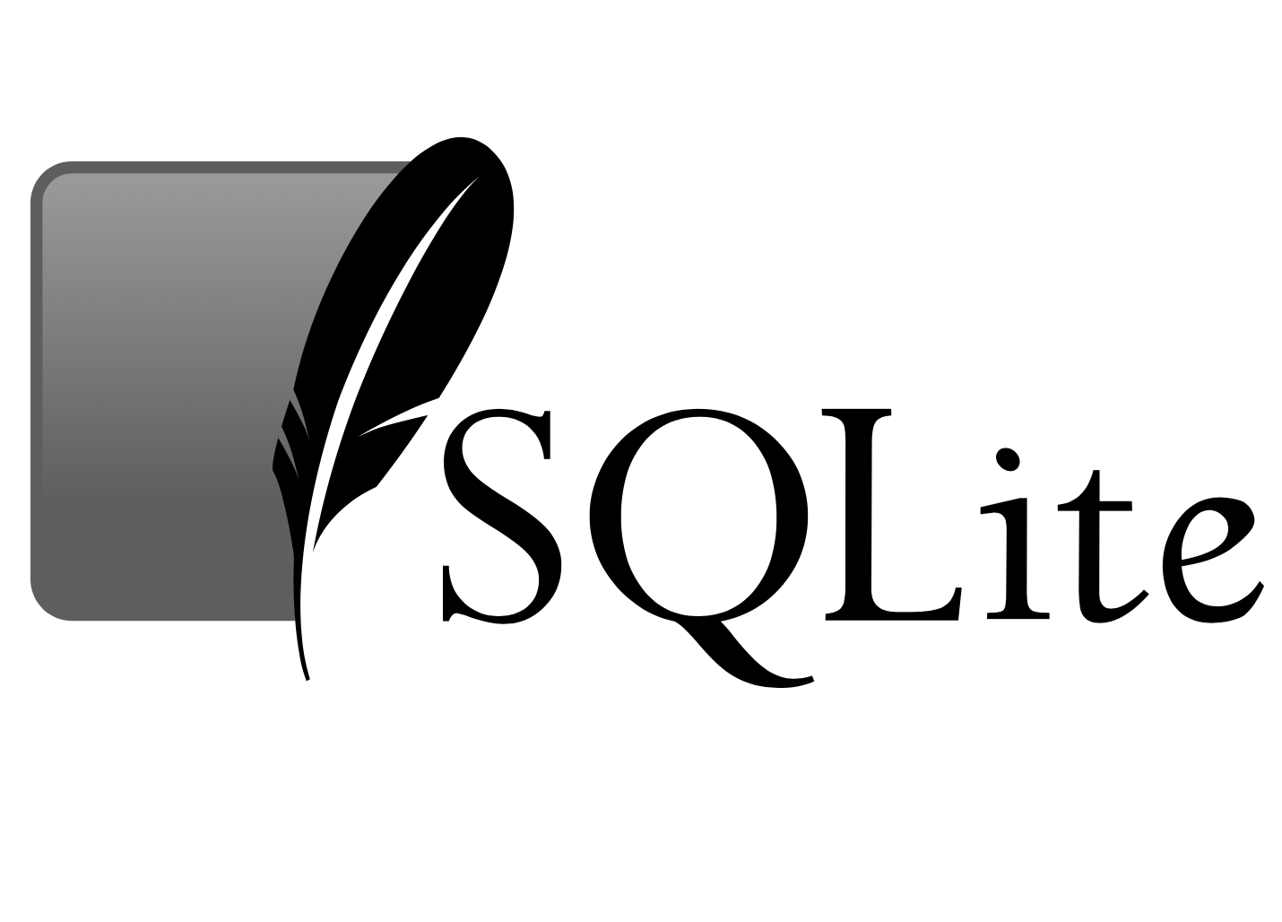 learn to code with SQL tools, like SQlite and Postgres