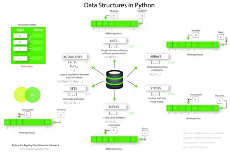 The Basics of Data Structures: A Comprehensive Guide